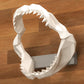 Jaw, Shark Tooth