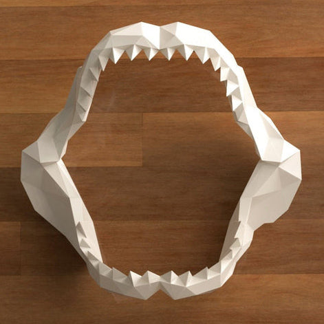 Jaw, Shark Tooth