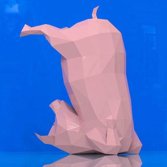 Yoga Pig
