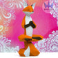 Fox praying