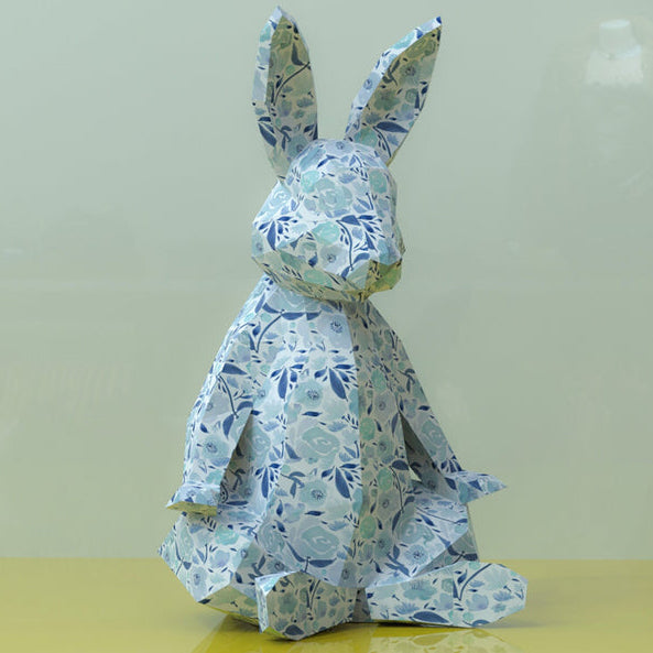 Rabbit meditation