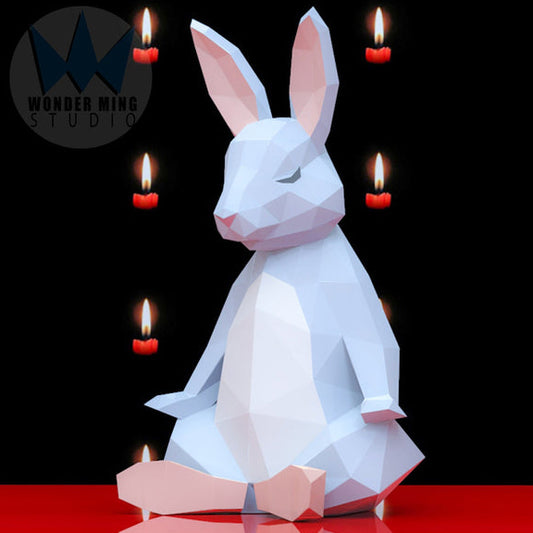 Rabbit meditation