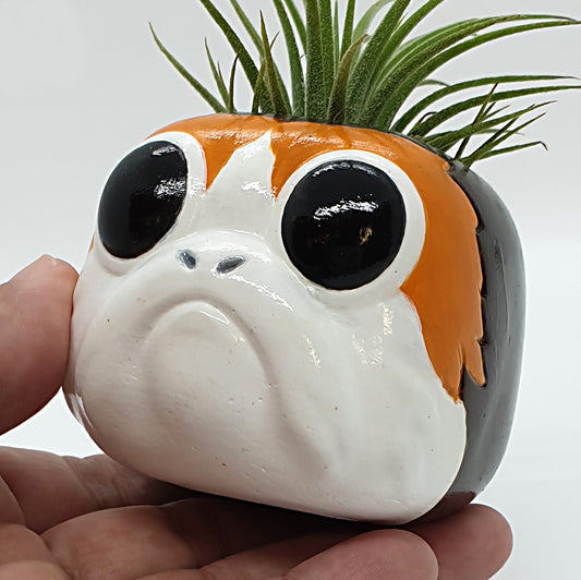 PORG PLANTER