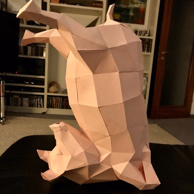 Yoga Pig