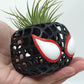 SPIDERMAN LATTICE PLANTER