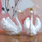 Swan