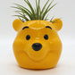 POOG PLANTER