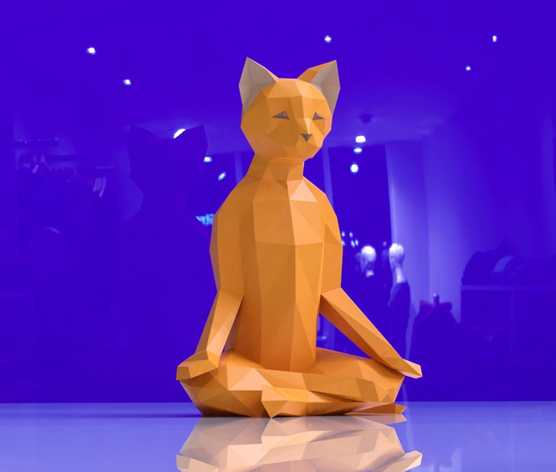 Cat meditation