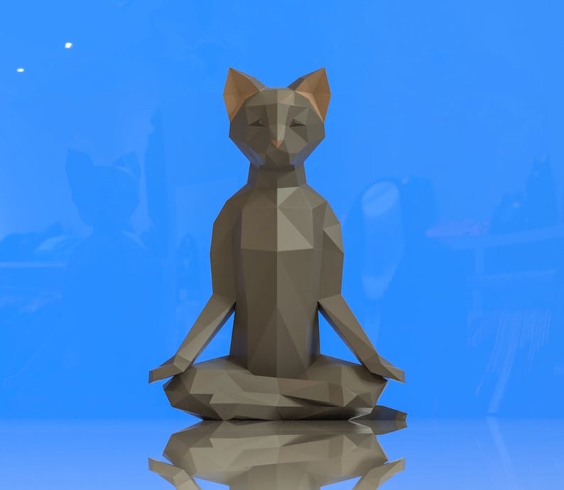 Cat meditation