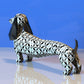 Dachshund