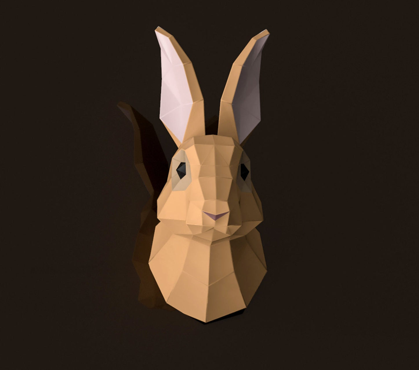 Rabbit Head