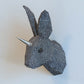 Rabbit  with horn