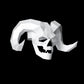 Skull with horn mask