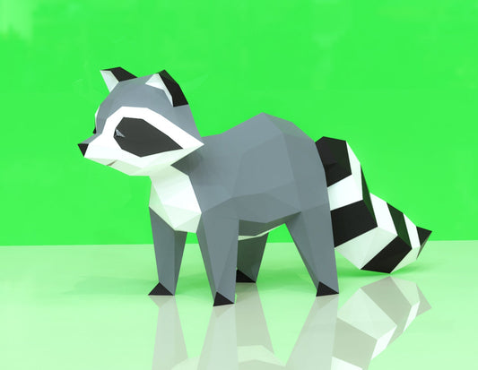 Raccoon