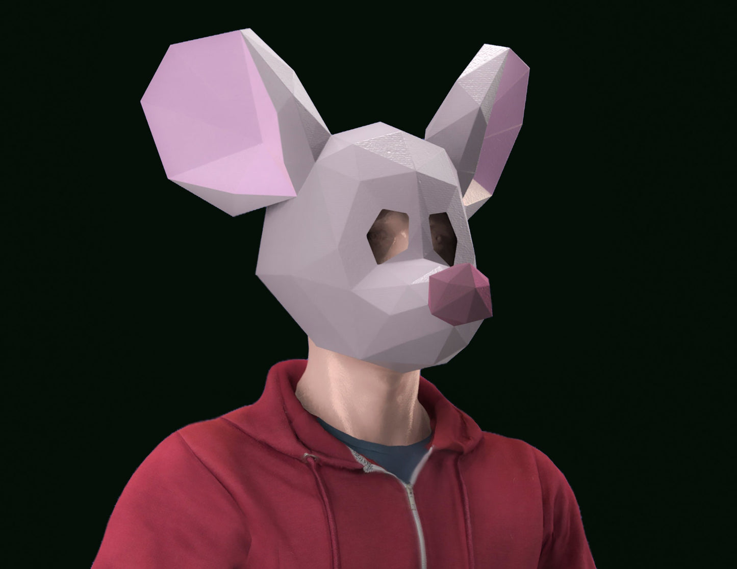 Mouse mask