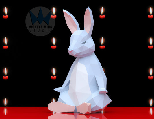 Rabbit meditation