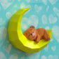 Bear Sleeping On Moon